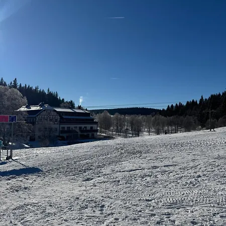 Strunzova Pila 308 *