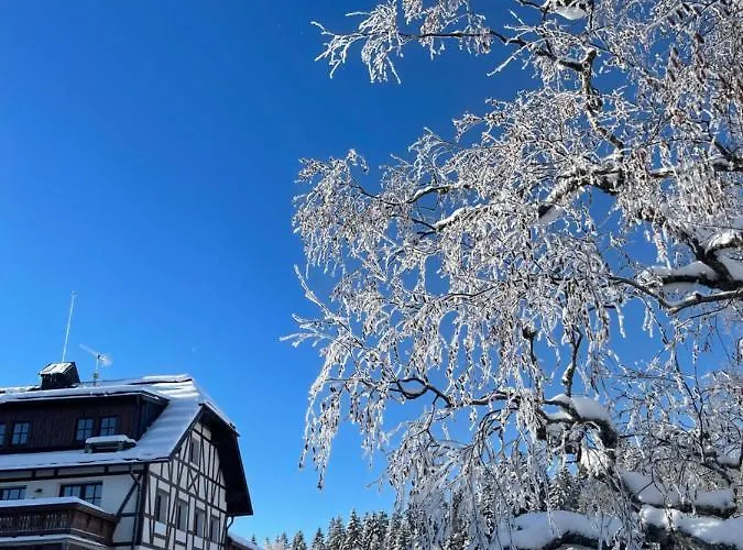 Apartment Strunzova Pila 308